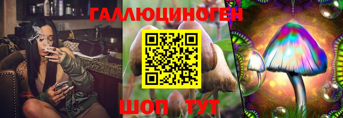 Псилоцибиновые грибы прущие грибы  Псилоцибиновые грибы прущие грибы  Кандалакша  Вход с VPN 